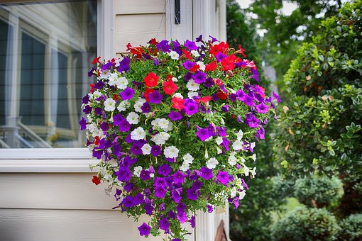 Hanging basket full of flowers hangs off a front porch.  You harden off your flowers and baskets before putting them out in the sun
