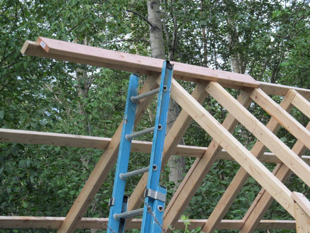 Garden sheds under construction.  Picture is of a tall ladder leaning up against the framework