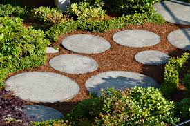 round concrete stepping stones make a little pathway to a storage shed