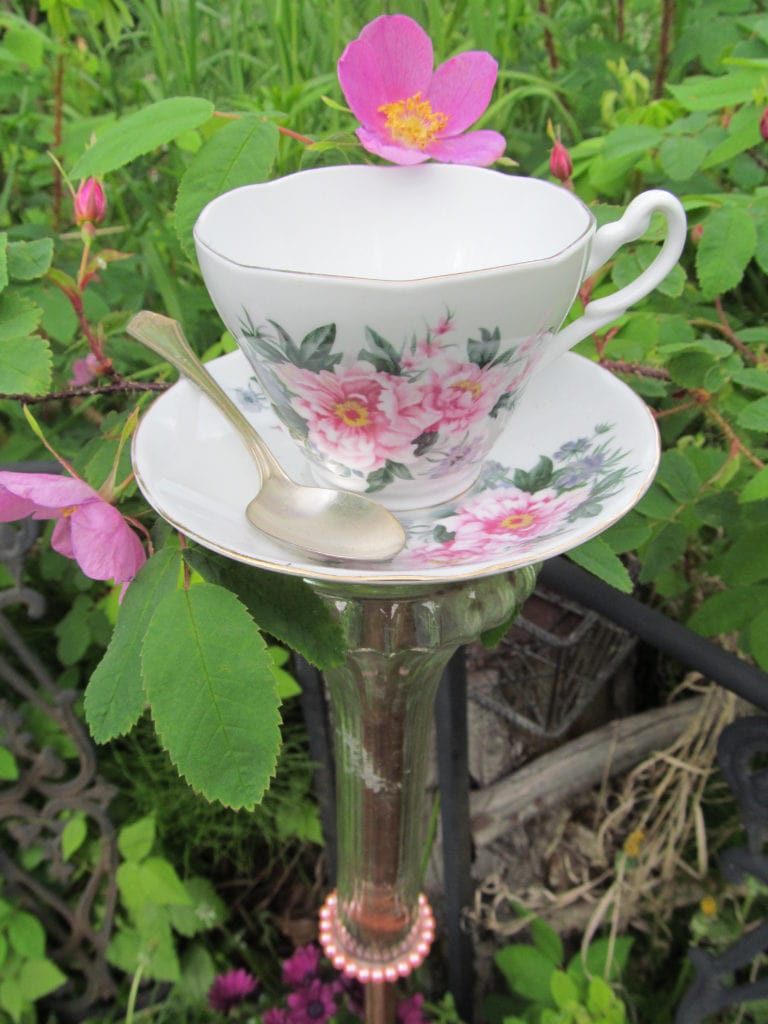 Tea cup and saucer glued to a stake for garden art. Positioned around roses. 