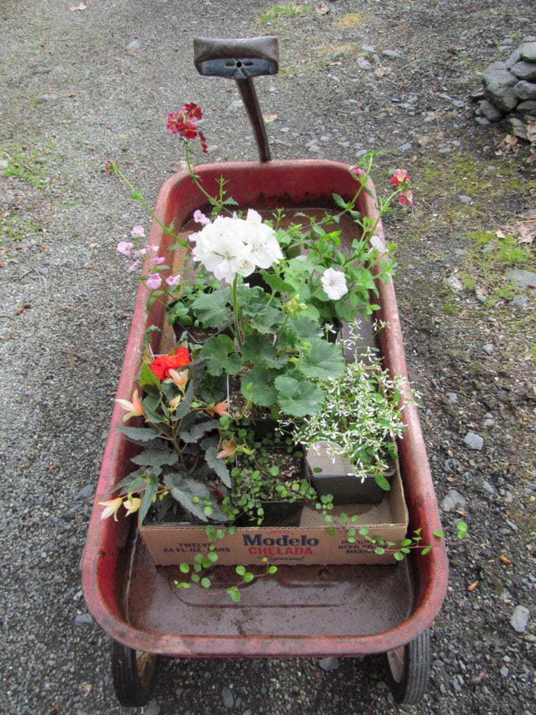 a red "Radio Flyer" wagon holds flowers