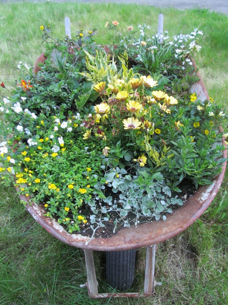 Make A Wheelbarrow Full of Sunshine | Make it a Garden