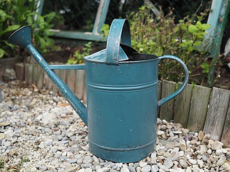 vintage tools an old blue metal watering can in the gardn