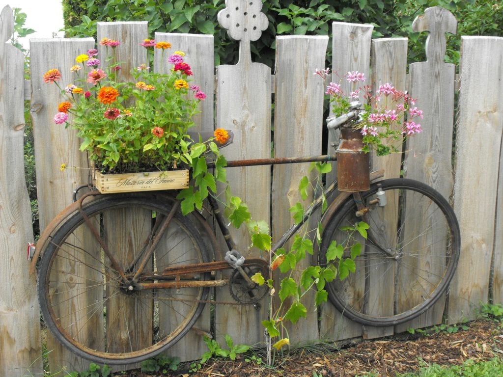 old rusty bike next to a wood fence with basket of trailing flowers in the front and on the back