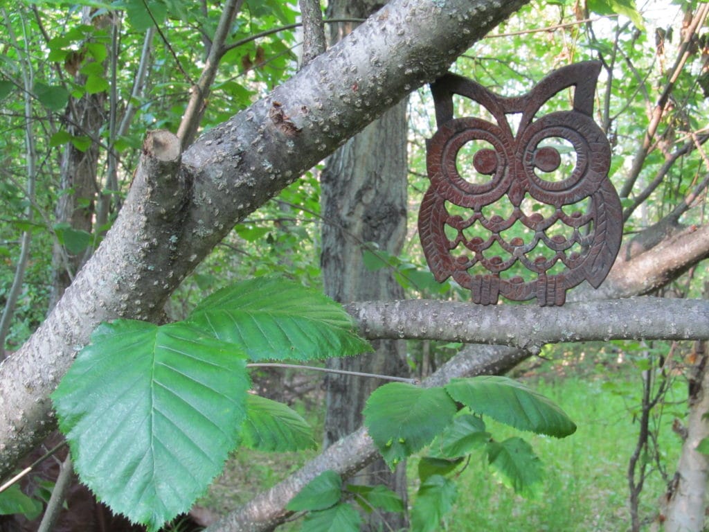 Trivets make pretty decor. Small, squat Owl-shaped Trivet set in tree branches