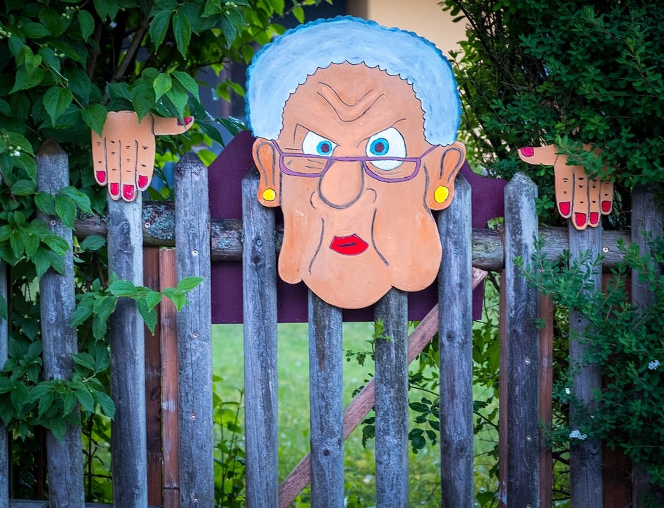 Humorous. Creative person made a large wood cut-out of an old woman's face wearing glasses.  It's nailed to a fence. Also made two hand cut-outs placed on either side of face so it looks like an old lady looking out over the fence.  Her face expression is scowling like she doesn't want people to come into her yard.