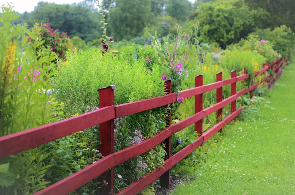 Split rail fence across a meadow. Fence is painted red