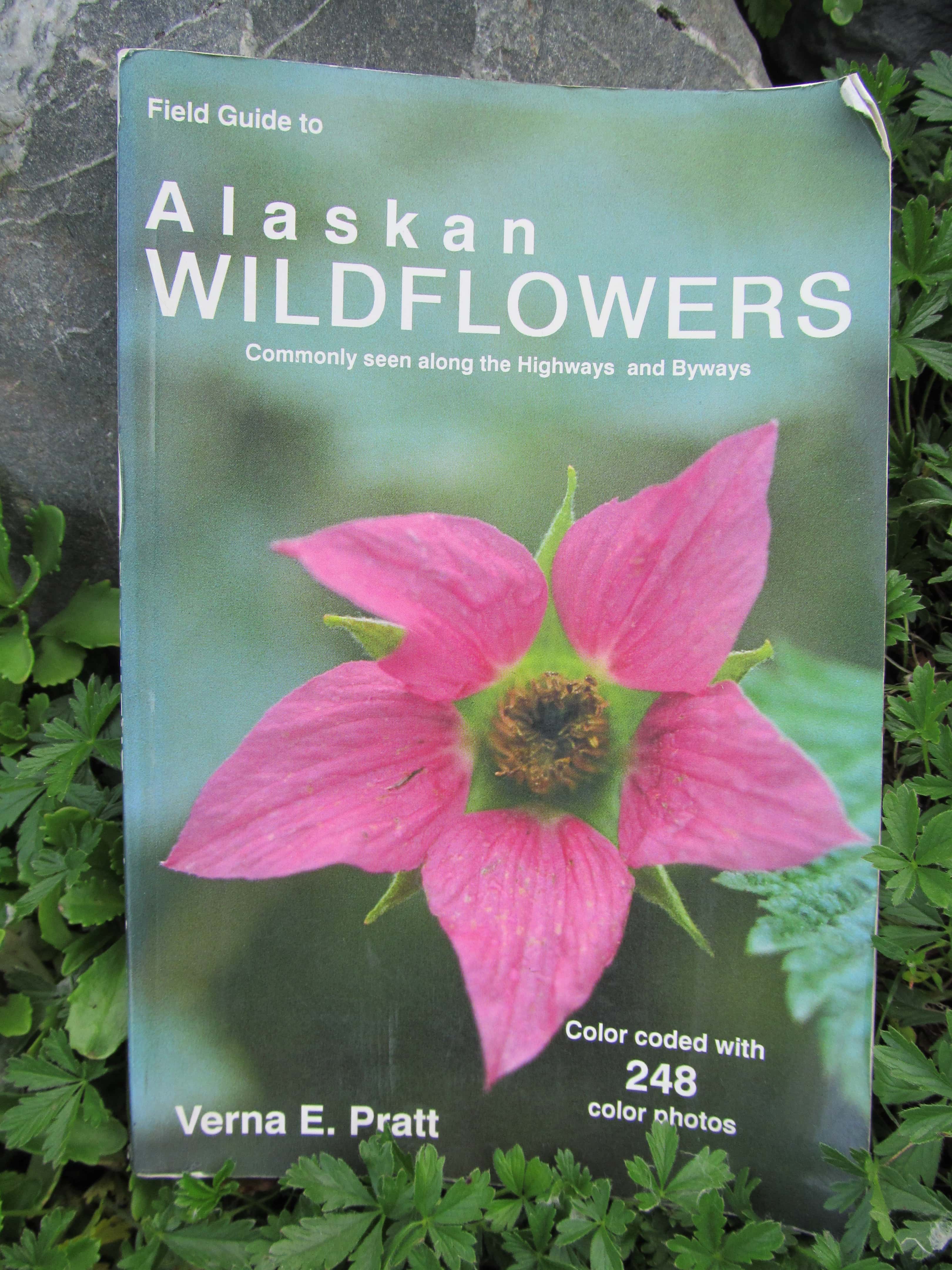 Meet Alaska's Wildflowers In Summer | Make It A Garden