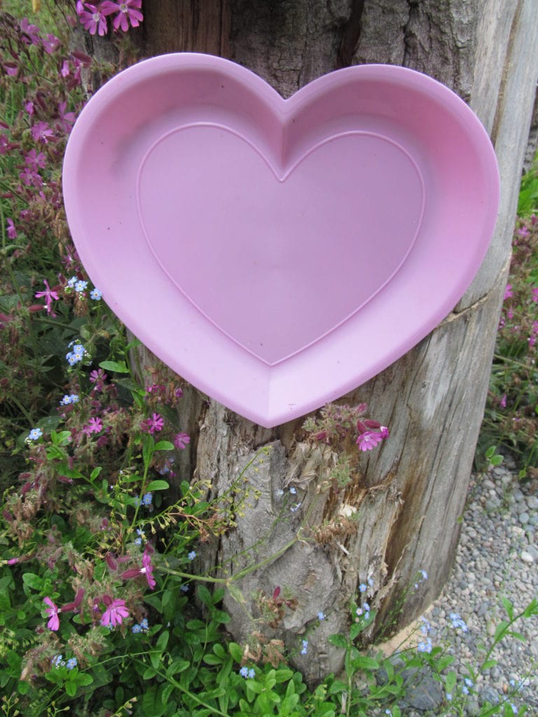 heart garden decor. Picture of a plastic heart-shaped cookie plate that hangs on a tree stump as garden decor.