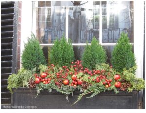 How to Decorate a Window Box with Holiday Cheer | Make it a Garden