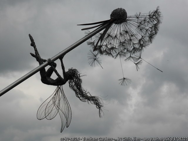 Fairy artwork Depicts a tiny fairy clinging to a dandelion