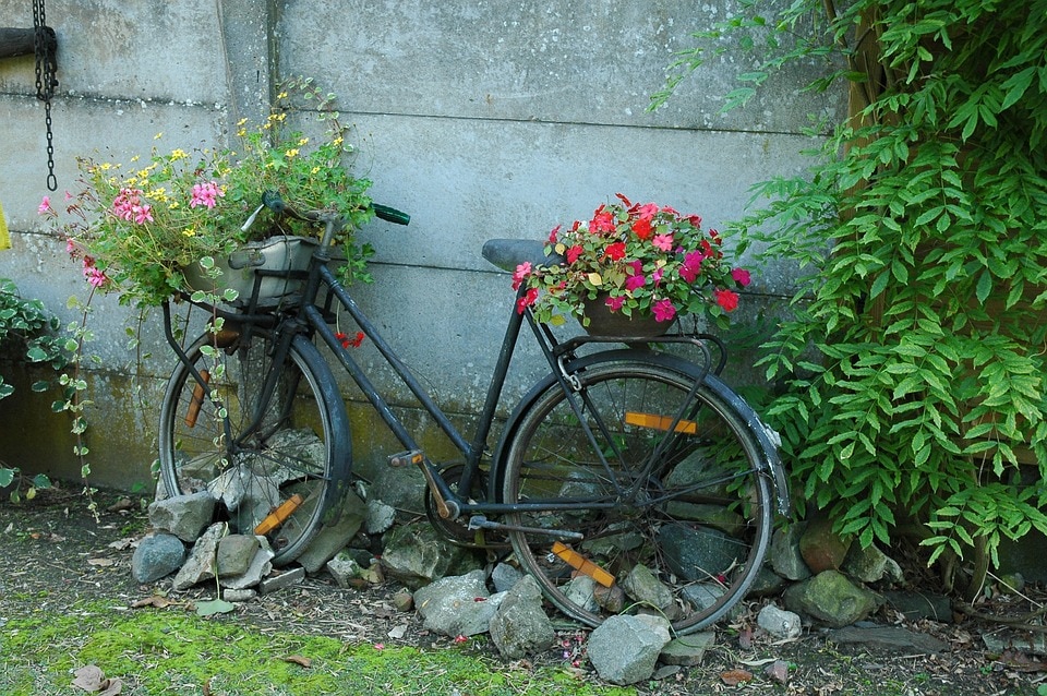 Black bicycle leans up against the side of a house with bright contrasting flowers in the front and on the rear end of the bicycle.