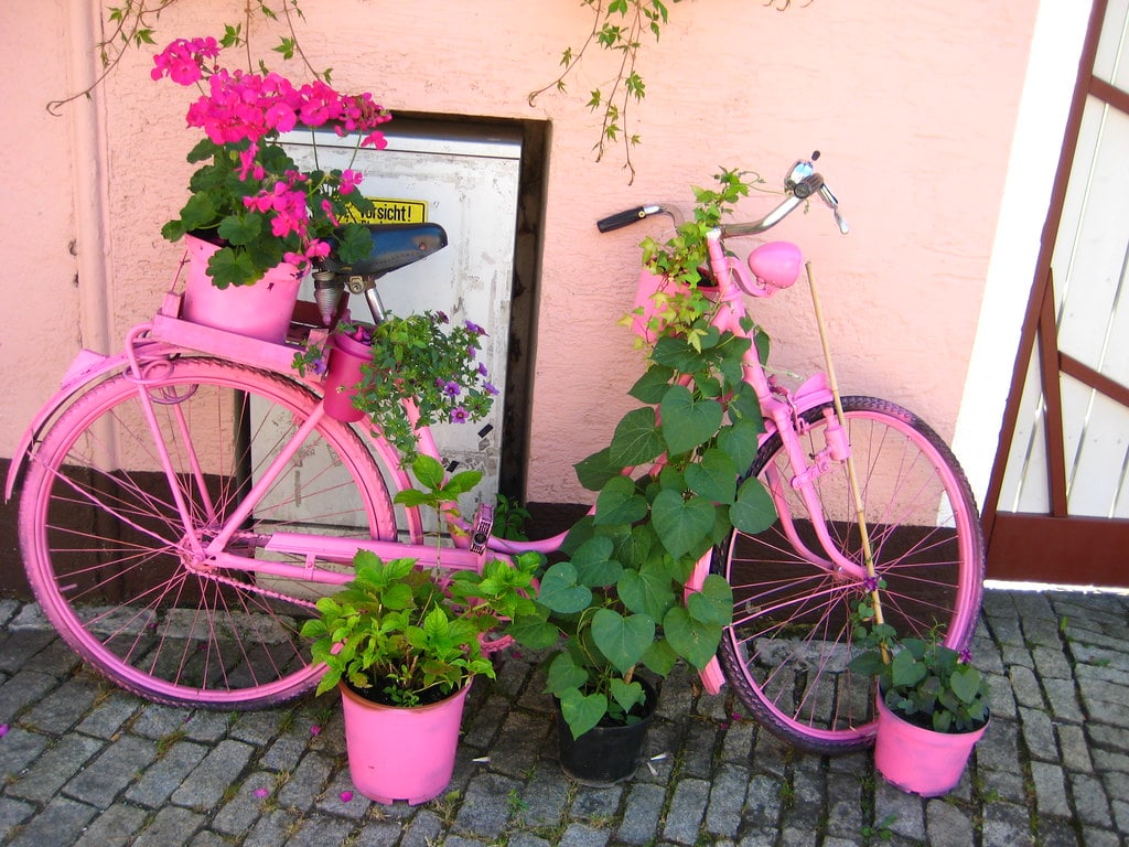 old bicycle has been spray-painted pink with a flower basket on the back of it. 