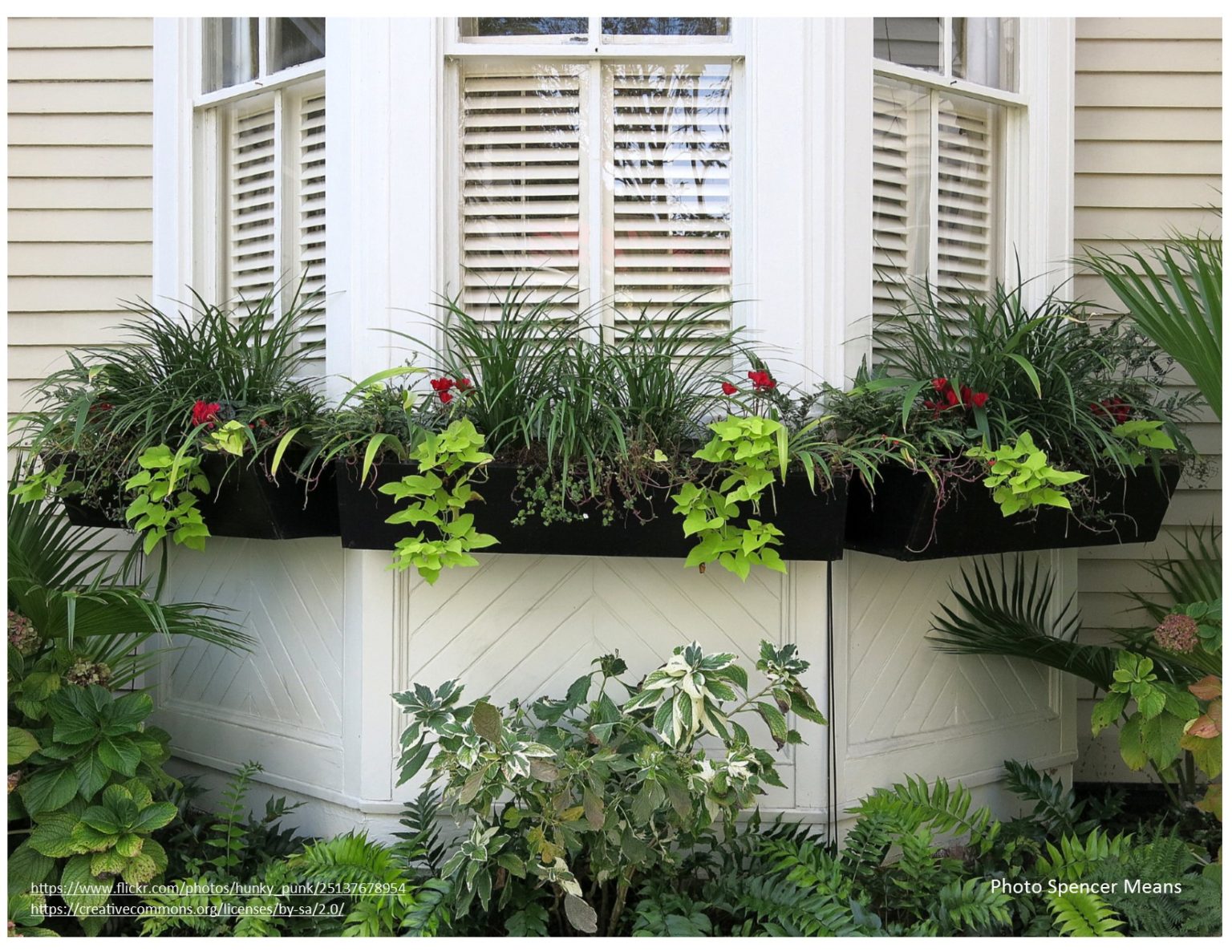 Window Boxes Planting How to plant window boxes that envy | Make it a Garden