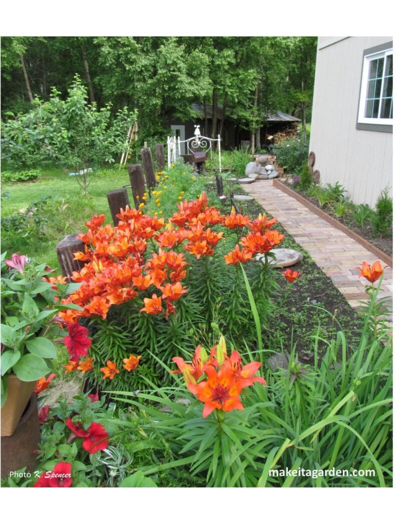 A bunch of tiger lilies growing in a garden bed. Imaginative sculptures make Palmer Garden