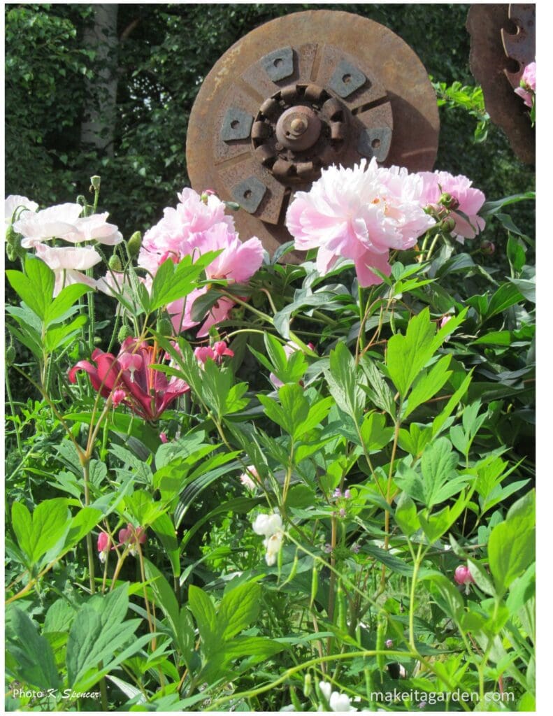 Close up of a large, rusty metal flower sculpture among peony flowers. Imaginative sculptures make Palmer garden