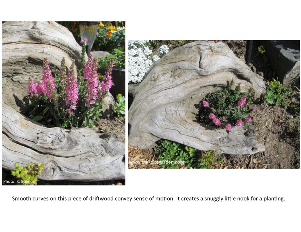 short rounded piece of driftwood has a "c" shaped center with flowers planted in the center.