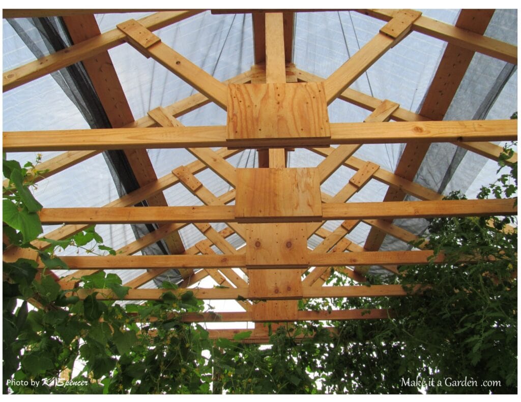 Rafters inside the greenhouse. Backyard greenhouse with drip irrigation
