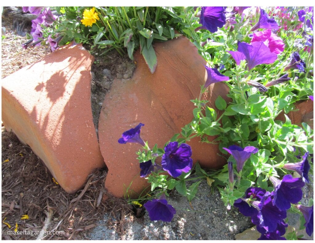 Photo of broken clay flower pot that belonged to the gardener's mother. The pot lays on its side, but it is still full of trailing flowers.
