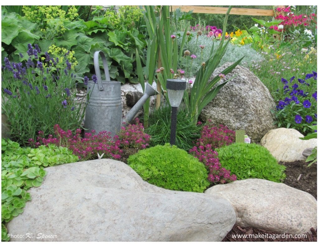 a great start to a spectacular flower garden. Close up of rock garden with small boulders and numerous plants packed in between, low growing purple flowers and pink flowers.
