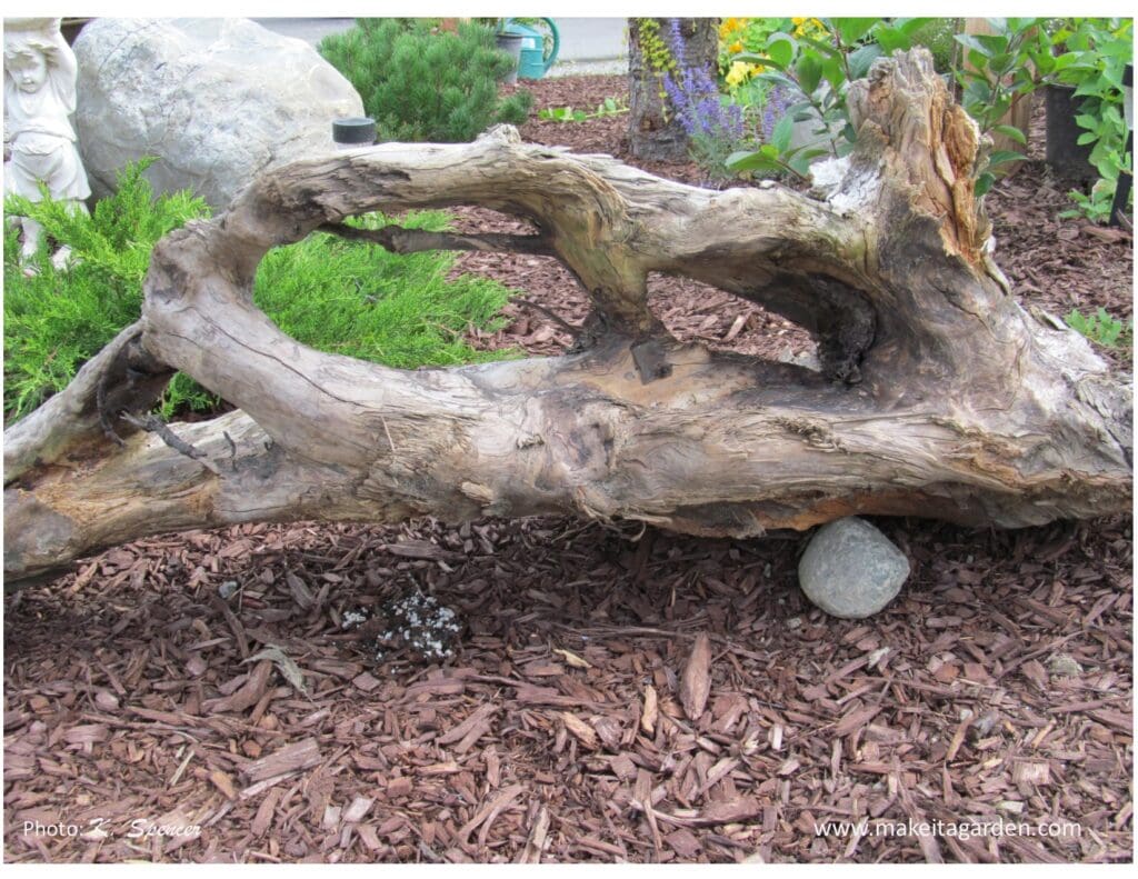 Close up of a large hunk of driftwood with two big round holes in the middle that make it look artistic