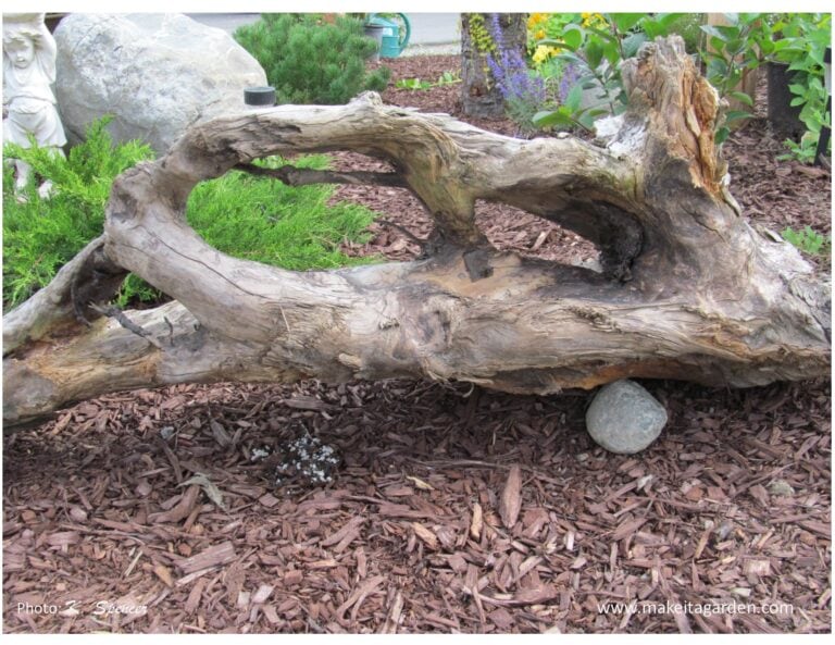 driftwood garden story