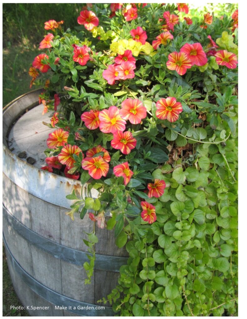 A wooden whiskey barrel turned upside down with a basket of cheerful orange and yellow flowers on it. Dazzling flower garden