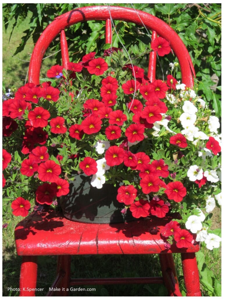Wooden chair painted bright red with basket full of red and white flowers on it. Dazzling flower garden