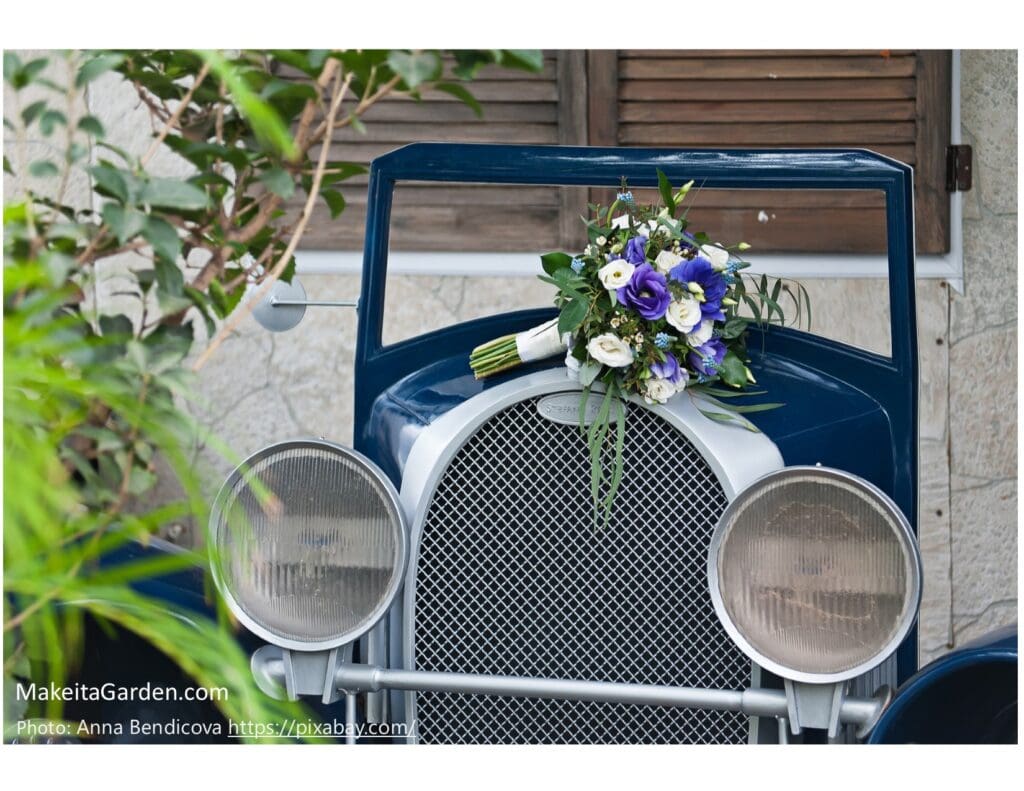 the front part of an old 1900's style car with big round headlights makes a charming garden centerpiece
