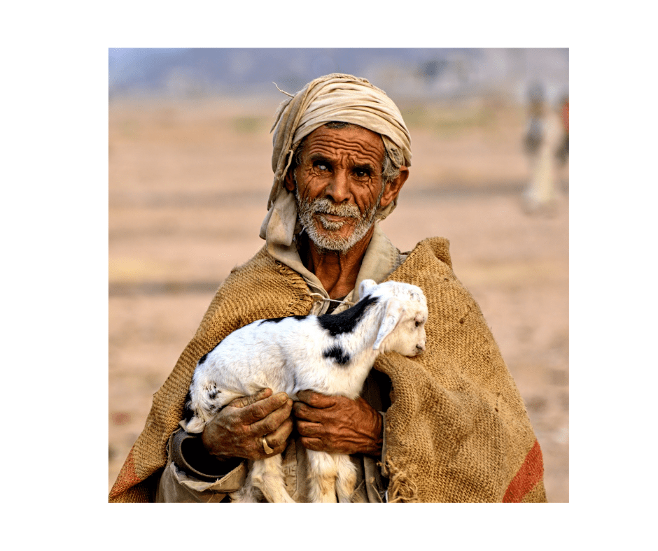 Shepherds watching. An old man with gray beard and wrinkled skin carrying a baby lamb in his arms.

