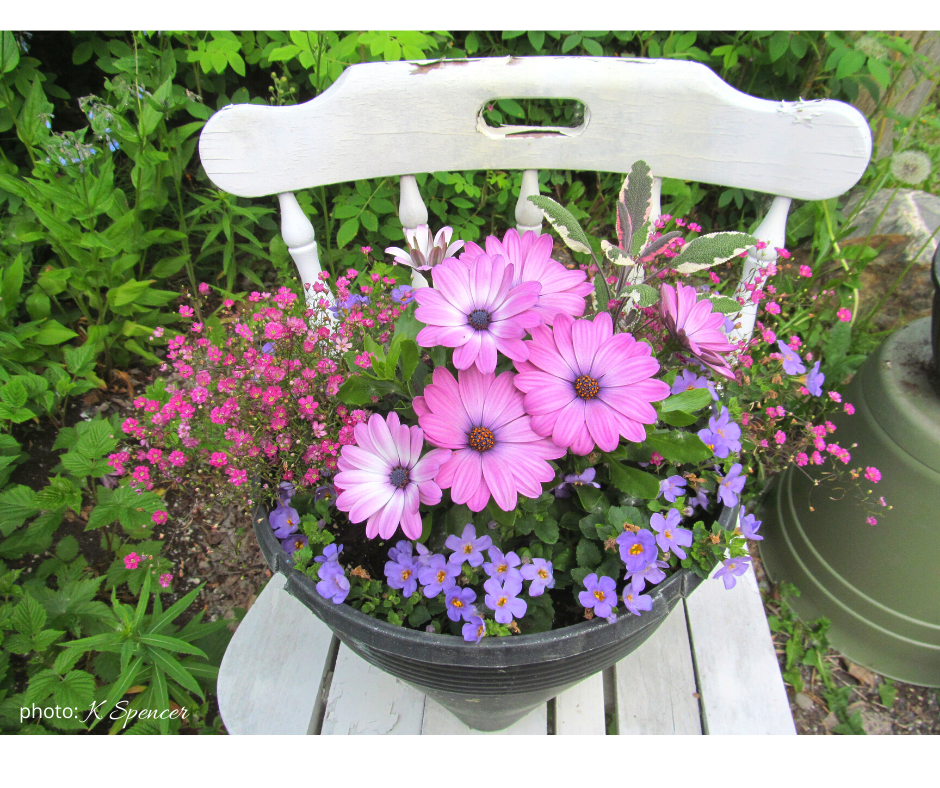 flowers on an old wooden chair painted white to set baskets and planters on. 