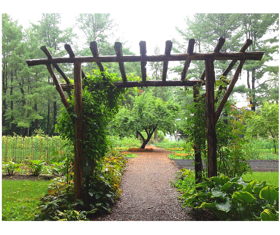 a large beautiful garden, with an arbor made of logs and branches with a pathway going underneath it.